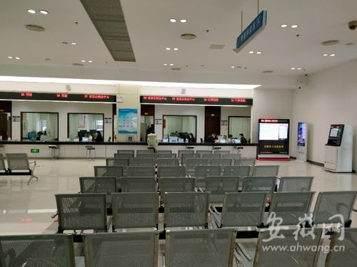 虎年開工首日探訪 安徽省政務服務中心窗口人員堅守崗位，熱情服務暖人心