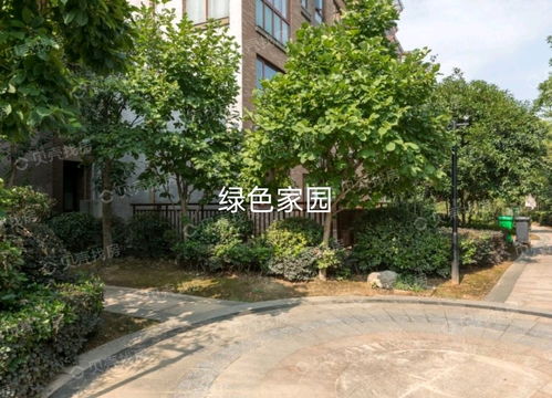 紹興市綠澤家園房產信息咨詢服務部 您的專業房產信息咨詢伙伴
